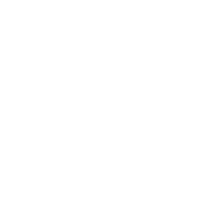 STVR 24 HD